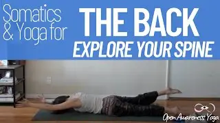 Somatics & Yoga for the Back - Explore Your Spine Livestream! - Open Awareness Yoga