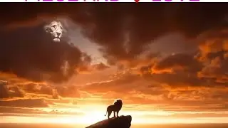 AI short movie on Lion 🦁 empire and territory #viral #lionempire#ai #aifuture 🔱✨