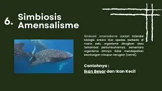 Biologi Kelas 10 : Interaksi Dalam Sebuah Ekosistem (By. Easterrisen)