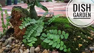 How to make Fairy garden easy ll Easy dish garden ll Garden Idea