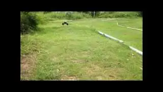 HPI Racing Savage X SS Super Sport TestRun
