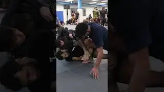 is this a Mikey Lock? #bjj #leglocker #grappling how do you escape this ?