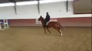 Corradina training