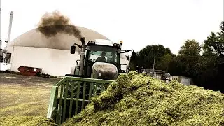 LU Thiemig Mais schieben EXTREM!!! Fendt 930 Vario I Maish&auml;ckseln 2018