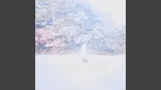 break the cycle