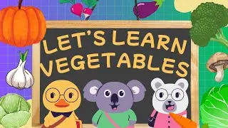Let's Learn Vegetables