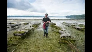 Shellfish Farmers Confront Climate Change