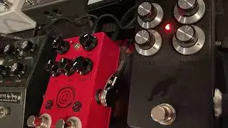 Panth&egrave;re Fuzz (Cornish NG-2/NG-3 Clone) - First Impressions