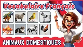 LES ANIMAUX DOMESTIQUES | Apprendre le vocabulaire fran&ccedil;ais | Apprentissage facile pour d&eacute;butants