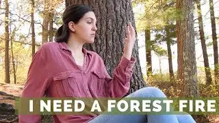 I Need A Forest Fire l Boston Community Dance Project l @BCDPArtistry