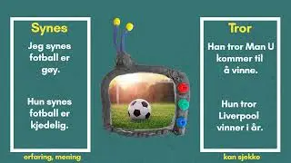 Synes og tror: Arabisk/Bokmål