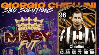 CHIELLINI 96 SBC SOLUTIONS MADFUT 24
