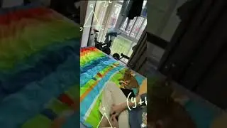 Cat .Cat.Matrix. Here is the training!