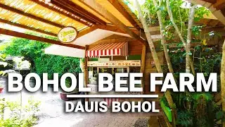 Dine in at Bohol Bee Farm Hotel & Restaurant | Dauis Bohol Philippines | 4k
