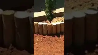 Como fazer canteiro de eucalipto