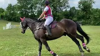 Stephii Wissel & R. U. Sirius HPF Horse Trials Preliminary 