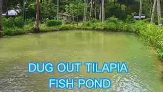 [English] Tilapia Farming - Tilapia Fishpond Design Ideas and Tips