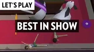 Moo, I'm a cow! Let's Play Best In Show