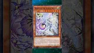 The White Forest #yugioh #yugiohtcg #yugiohcards