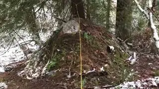 A homeless &lsquo;Hobbit&rsquo; house in the deep woods on the side of a steep mountain.