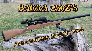 Barra 250z's 🧓older brother Artemis M30B 50 yard plinking session #fun #barra #artemis #airgun #pcp