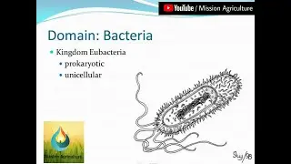Domain Bacteria : Bacteriology for All state and centre competitive exams ||Hindi||