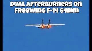 Dual Afterburners on Freewing F-14 64mm RC