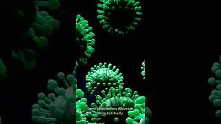 The Hidden World of Ocean Parasites