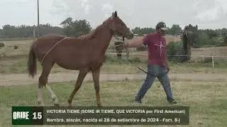 15  VICTORIA TIEME