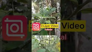 Inshot 3 layer video edit -Tutorial