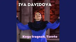 Koga tragnah, Tsveto