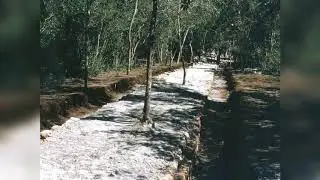 Sacbe One  The White Road