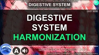 ⚖️ Digestive System Fine-Tuning ✨ Repair, Soothe & Restore Your Digestion 🔬 Advanced Subliminal