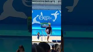 manila ocean park birds talent show