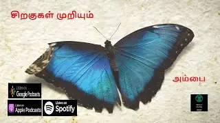 சிறகுகள் முறியும் - அம்பை - சிறுகதை|Short Story