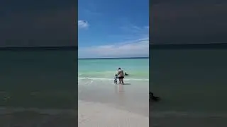 Manatee public beach