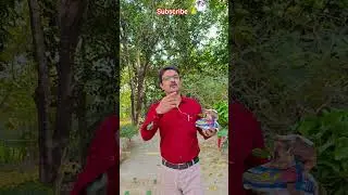 নার্সারি থেকে আবার গাছ আনলাম #garden #gardening #flowers #nursery #UpdateGardening #chadbagan