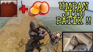 Begini Cara Mancing Patik Dengan Umpan Racikan Sendiri !!