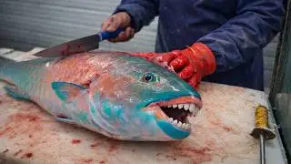 Amazing Parrot Fish Fillet Technique for Beginners