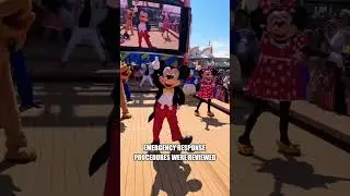 The Disney Cruise Incident That Changed Emergency Protocols