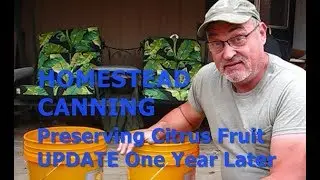HOMESTEAD HACK - Preserving Citrus In Dry Sand 1 Year Later
