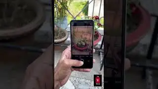 OnePlus 10R Portrait Mode | Autofocus Setup In Rear Camera