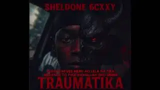 6CXXY TRAUMATIKA 