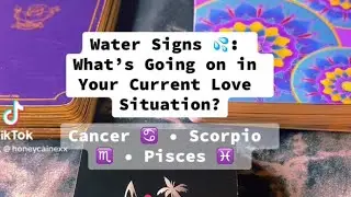 💦 ALL WATER SIGNS 💦: Cancer, Scorpio & Pisces : Love Reading ❤️