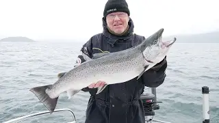 Sj&oslash;&oslash;rretfiske 2016 - big sea trout - under water film