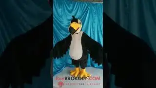Cute black parrot with yellow/black beaks full body mascot costume outfit