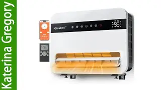 Givebest 1500W Wall Electric Space Heater 120&deg;Vertical Oscillation, Compatible with Alexa Review