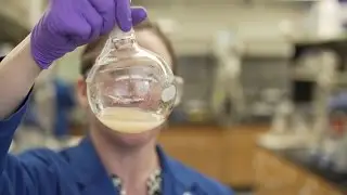 UK&rsquo;s Collaborative Research Environment