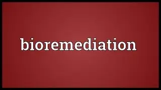 Bioremediation Meaning