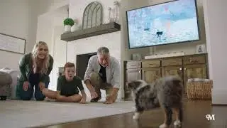 PLUMBING, PLUMBING, Puppy? - Milestone Electric